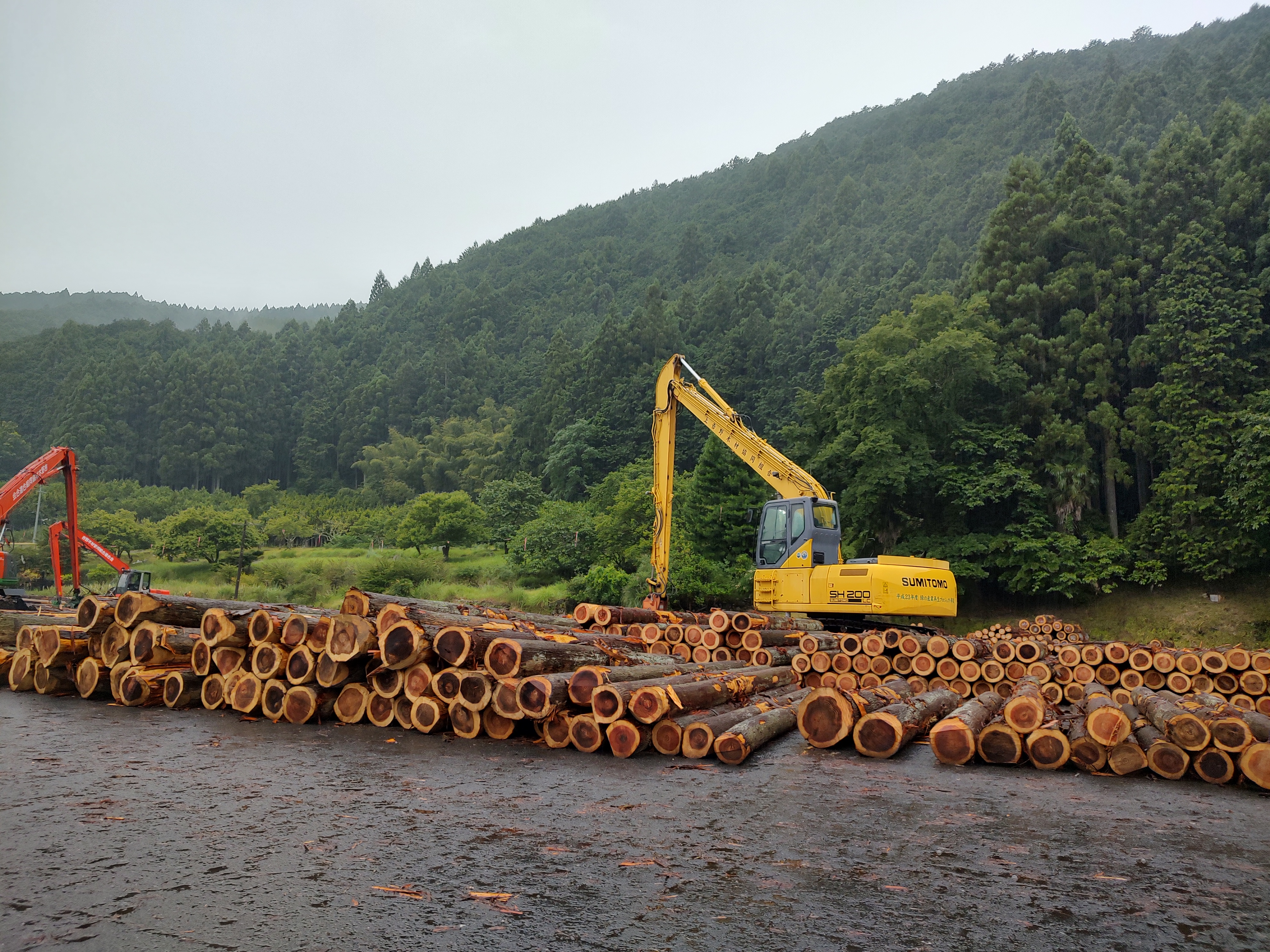 Yoshino lumber yard