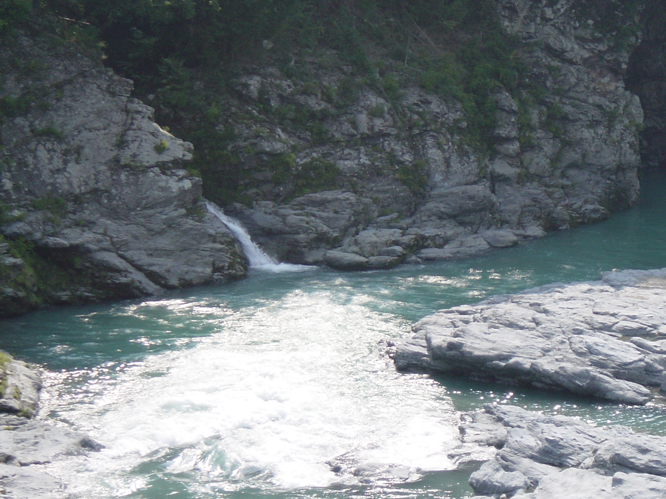 Yume no Wada (dream trap)